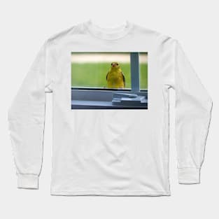 Little Bird on the Window Sill Long Sleeve T-Shirt